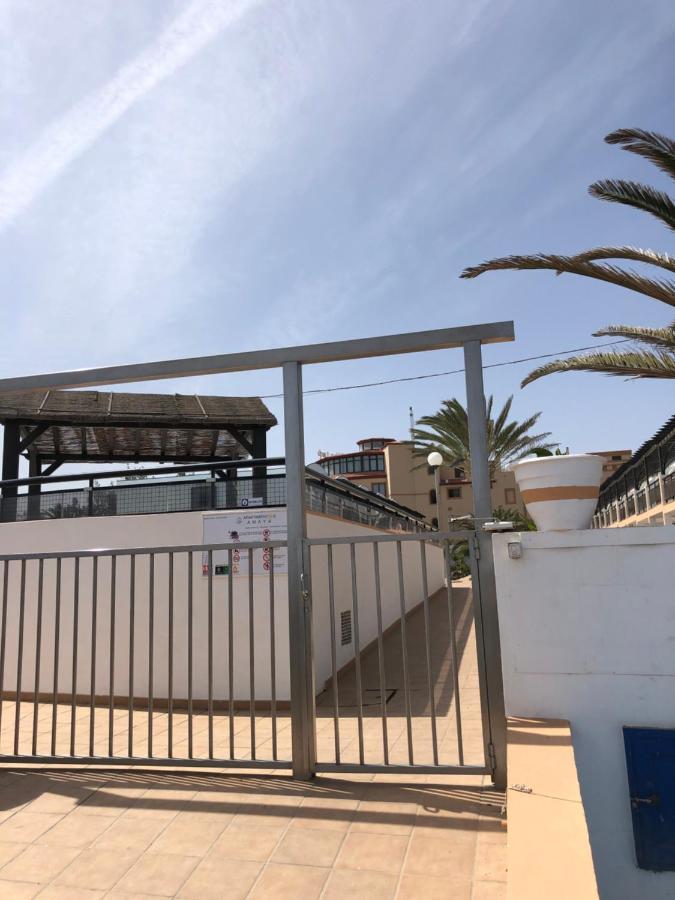 Apartamento La Tortuga Complex Amaya Fuerteventura Lejlighed Costa De Antigua Eksteriør billede